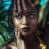 paree_dimi